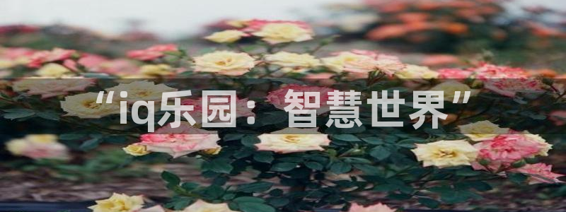 多彩娱乐注册测速：“iq乐园：智慧世界”